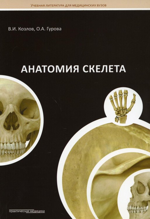 Анатомия скелета: Учебное пособие