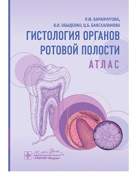 Гистология органов ротовой полости: атлас