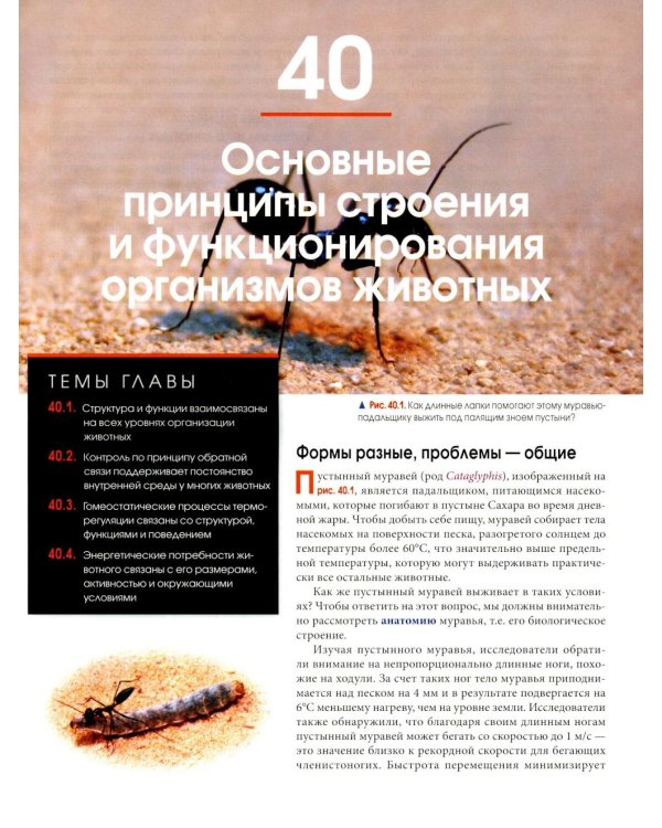 Биология Campbell в трех томах. Т. 3. Животные формы жизни и их функционирование. Экология