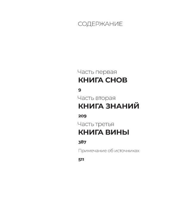 Книга вины: роман