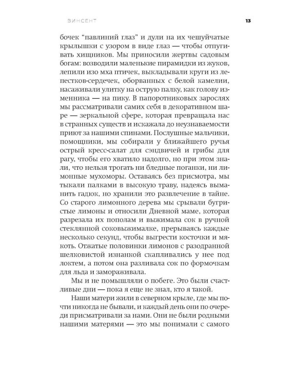 Книга вины: роман