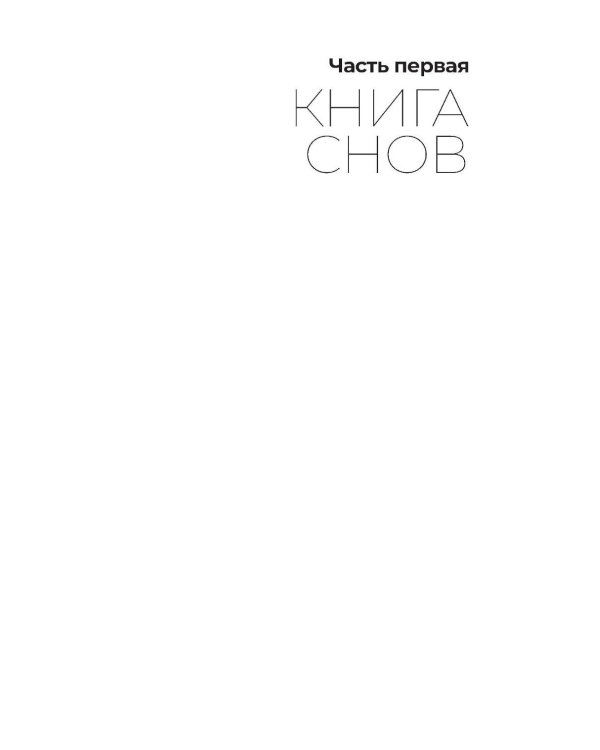 Книга вины: роман