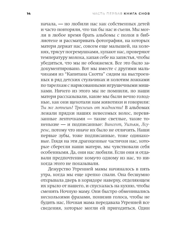 Книга вины: роман