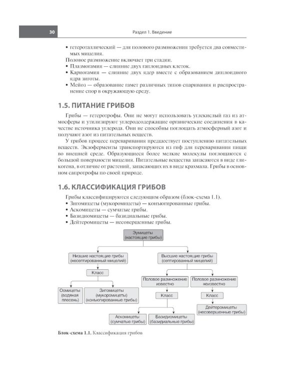 Грибковые инфекции