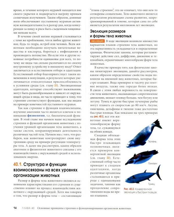 Биология Campbell в трех томах. Т. 3. Животные формы жизни и их функционирование. Экология
