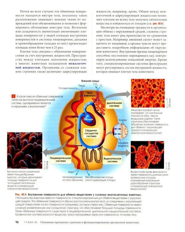 Биология Campbell в трех томах. Т. 3. Животные формы жизни и их функционирование. Экология