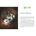 Книга джунглей. История Маугли. Киплинг Р.