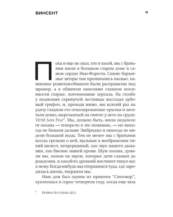 Книга вины: роман