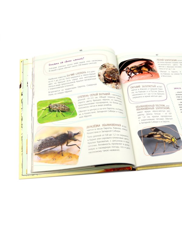 Такие незнакомые эти насекомые