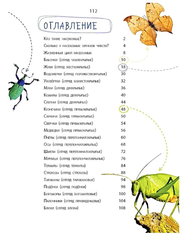 Такие незнакомые эти насекомые