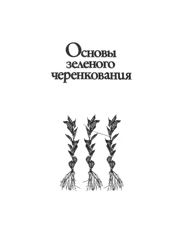 Зеленое черенкование садовых и лесных культур: Теория и практика