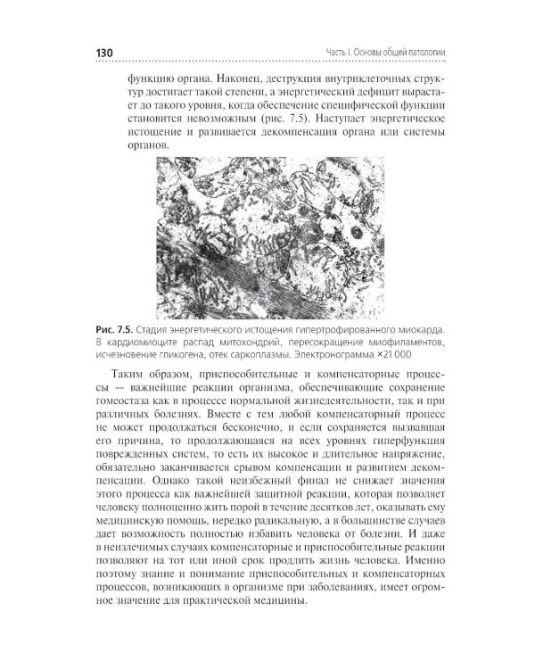 Основы патологии: Учебник