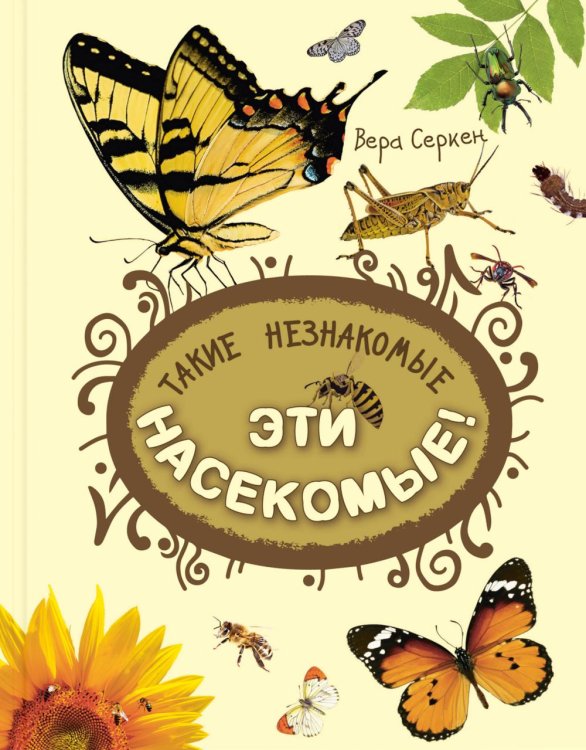 Такие незнакомые эти насекомые