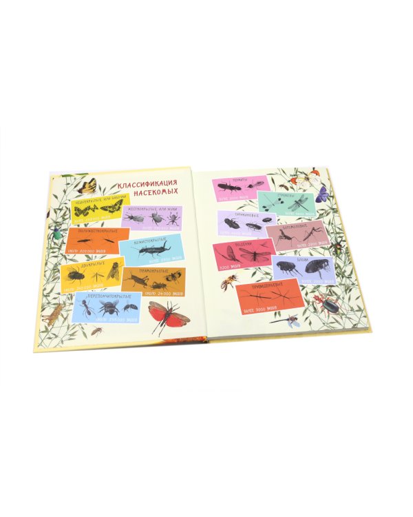 Такие незнакомые эти насекомые