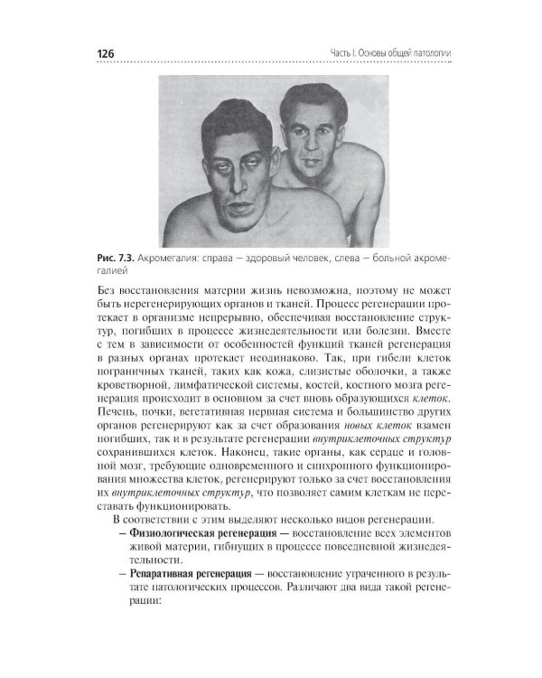Основы патологии: Учебник