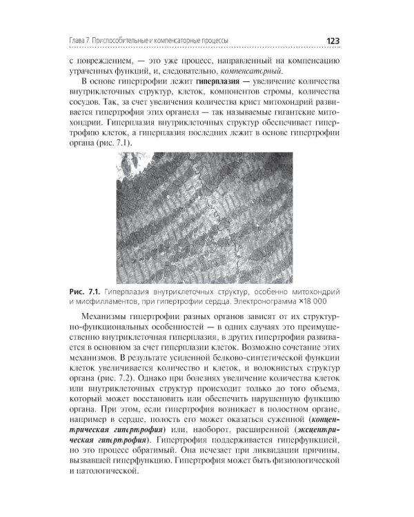 Основы патологии: Учебник