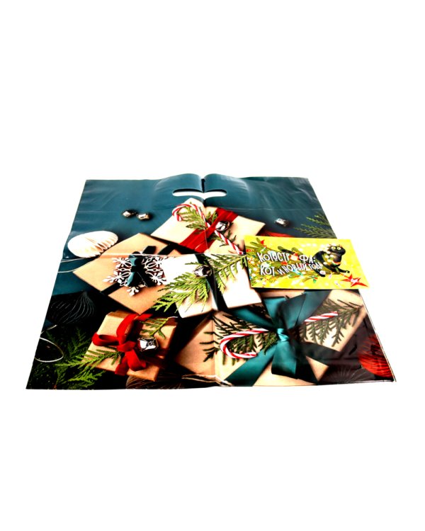 Мороз-младший и новый год вверх ногами + Книга-котострофа: Кот и Новый год! (Комплект из 2-х книг)