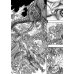 Берсерк. Т. 14: манга