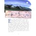 БАМ. Дорога с характером. Вып. 278