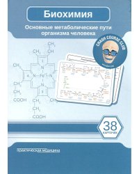 Биохимия. Основные метаболические пути организма человека (38 карточек)