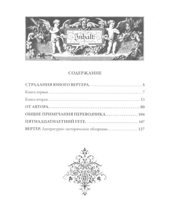 Страдания юного Вертера. Пятнадцатилетний Гете