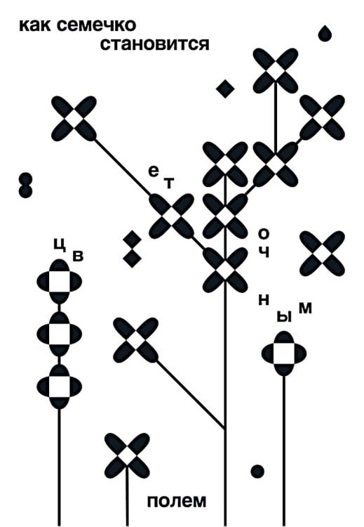 Как семечко становится цветочным полем Как семечко становится цветочным полем