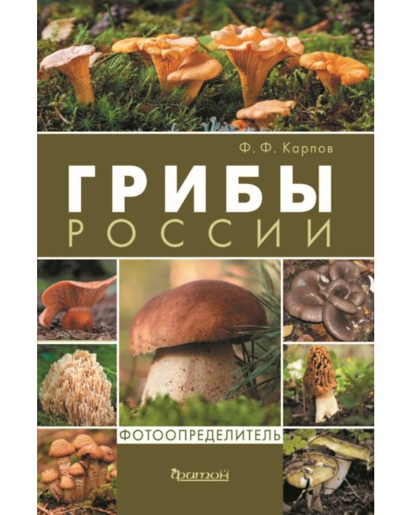 Грибы России. Фотоопределитель
