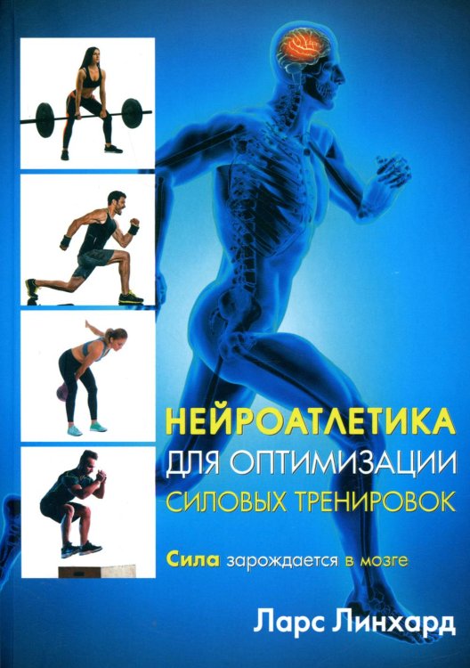 Нейроатлетика для оптимизации силовых тренировок: сила зарождается в мозге