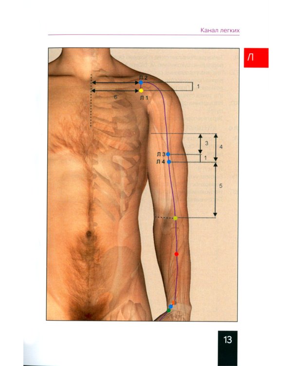 Карманный атлас акупунктуры. 4-е изд