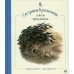 Сестрица Крольчиха совсем заблудилась Сестрица Крольчиха совсем заблудилась