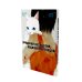 Бродячий кот против ходячих мертвецов. Т. 1-2 (комплект из 2-х книг)