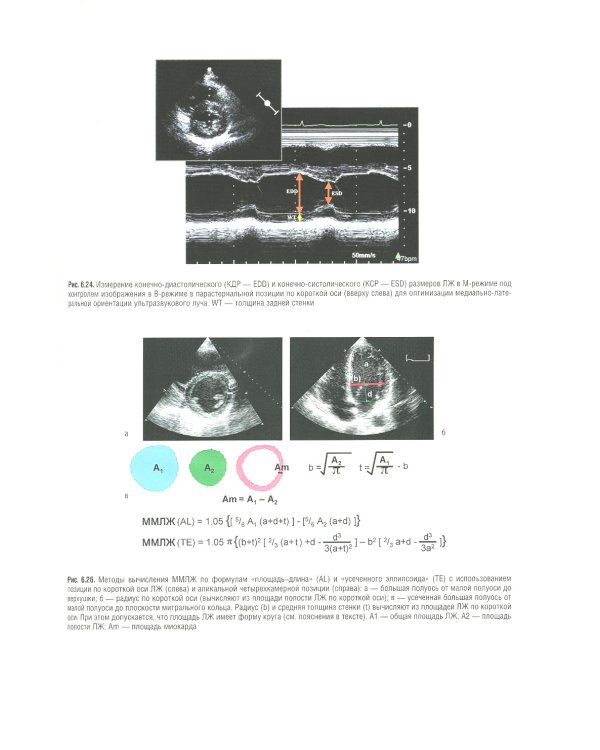 Кардиология: национальное руководство. 2-е изд., перераб. и доп