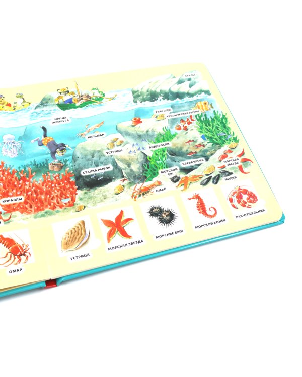 100 окошек для малышей: На ферме и на море (комплект из 2-х книг)