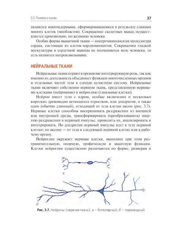 Анатомия и физиология человека. Иллюстрированный учебник