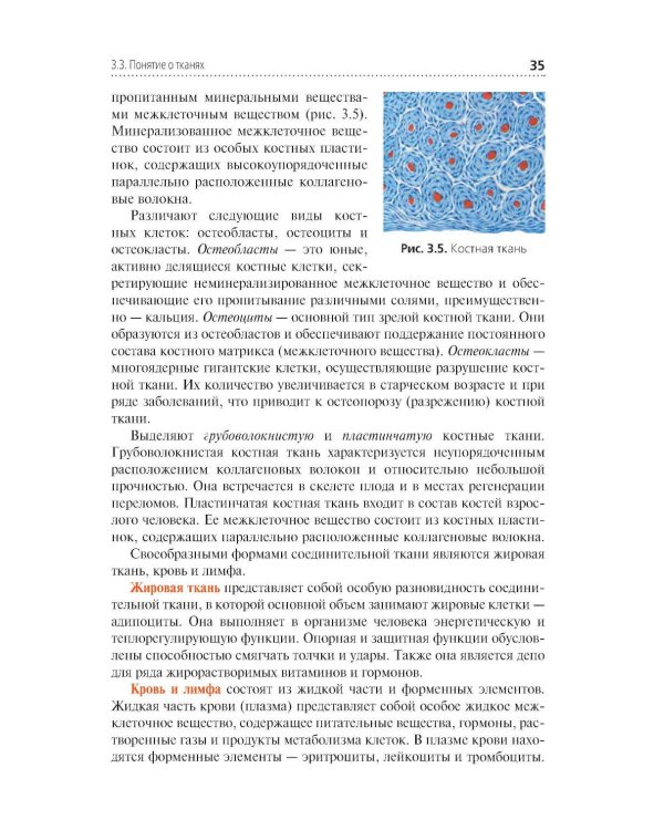 Анатомия и физиология человека. Иллюстрированный учебник