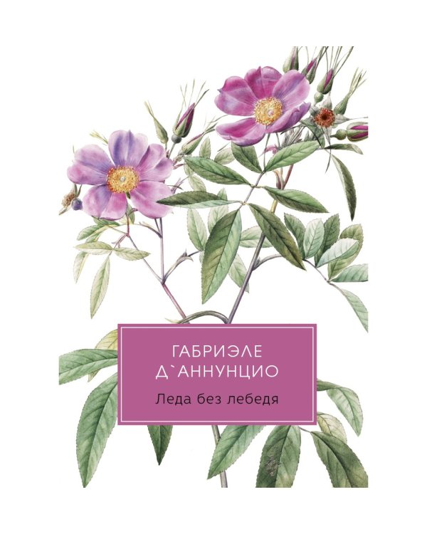 Леда без лебедя