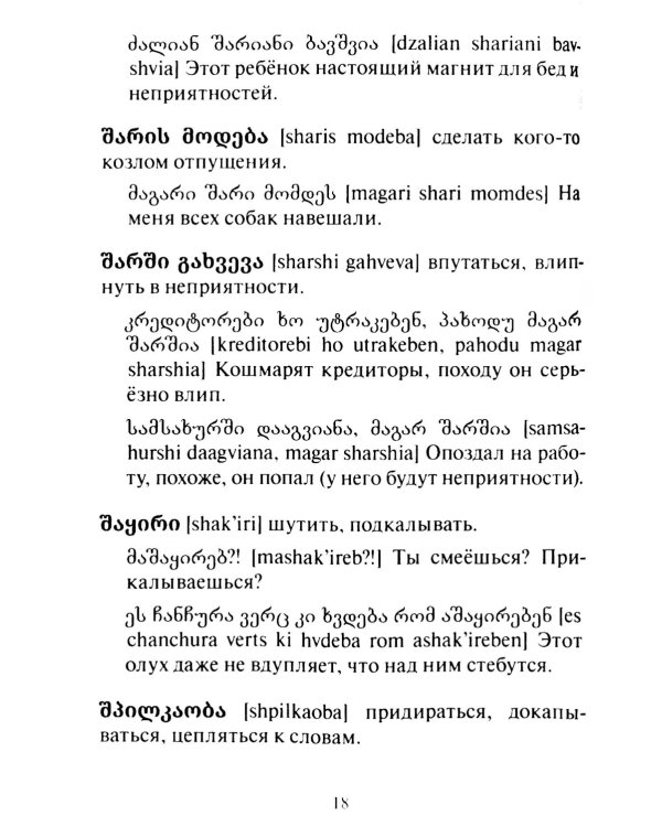 Сборник современного грузинского сленга