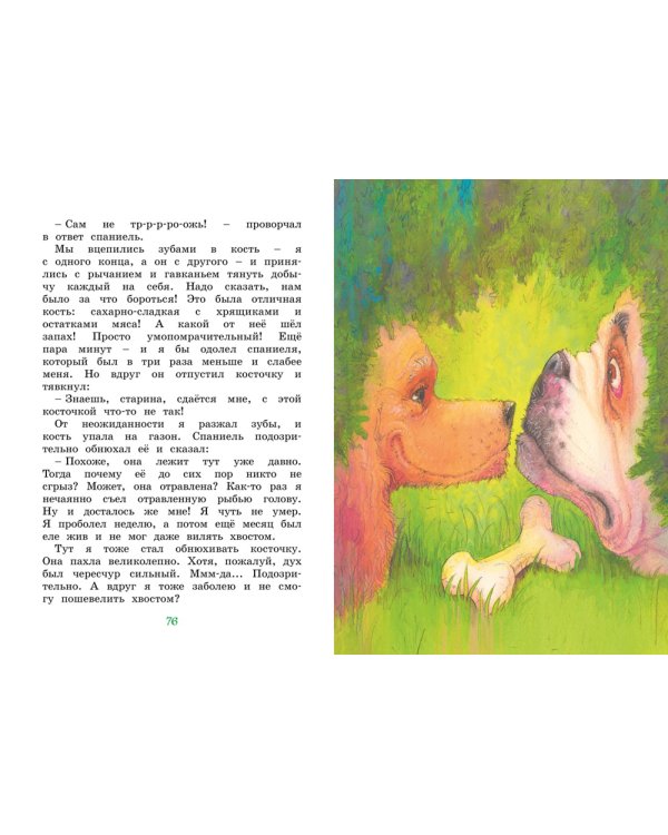 Медвежонок Тедди и другие сказки