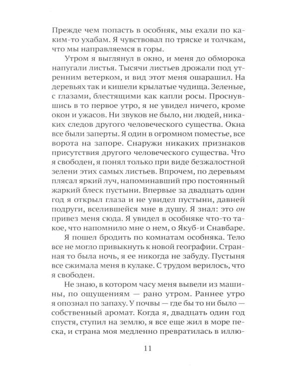 Дополнительное изображение книги «Последнее гранатовое дерево»