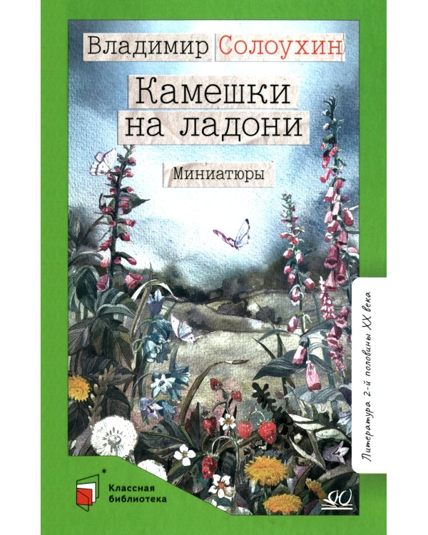 Камешки на ладони: миниатюры