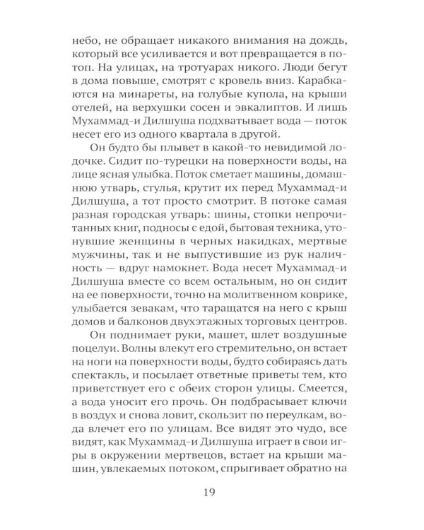 Дополнительное изображение книги «Последнее гранатовое дерево»