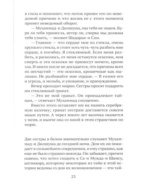 Дополнительное изображение книги «Последнее гранатовое дерево»