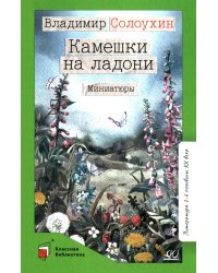 Камешки на ладони: миниатюры
