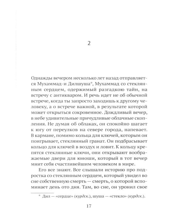 Дополнительное изображение книги «Последнее гранатовое дерево»
