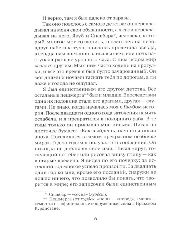 Дополнительное изображение книги «Последнее гранатовое дерево»