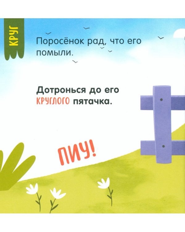 Мой умный малыш. Формы