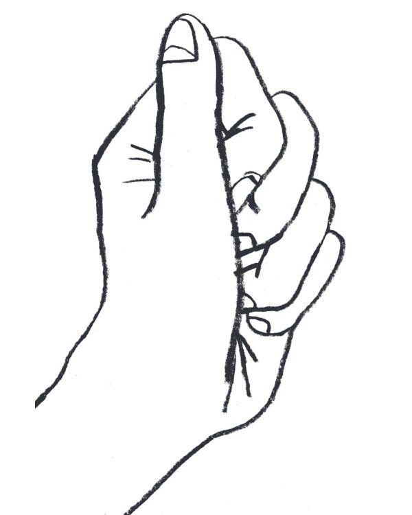 Синяя птица