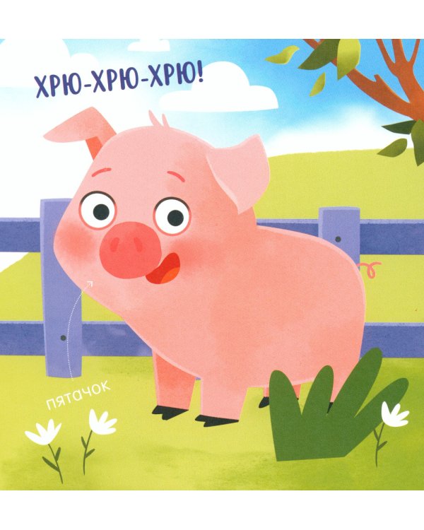 Мой умный малыш. Формы