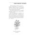 Природные чудо-целители. Календула, алоэ, бадан. Уникальное практическое руководство
