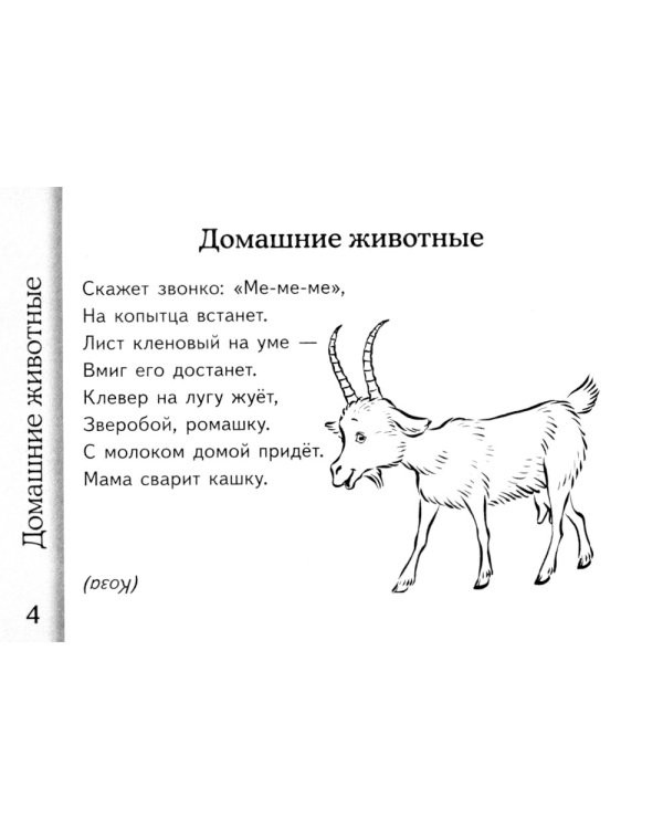 Загадки о животных